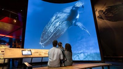 National Museum of Australia launches two new galleries — Great Southern Land and children's Discovery Centre