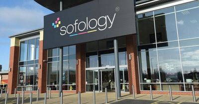 Sales at Sofology pass £300m despite woes of owner DFS