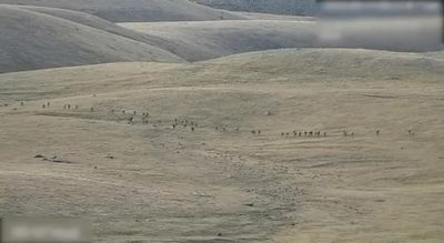 71 Azeri soldiers killed in clashes with Armenia this week -Azeri Defence Ministry