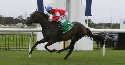 Favourites scratched from Tibbie Stakes and Cameron Handicap at Newcastle