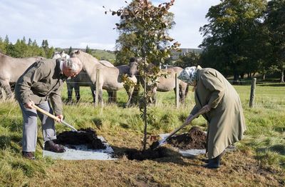 Jubilee scheme extended for people to plant trees in memory of the Queen
