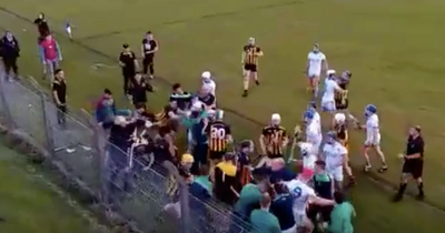 Hurl thrown over fence sparks mass brawl in GAA club match