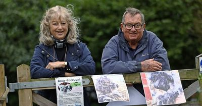 Couple forced to sell 'as much as they can' including wedding rings to keep animals sanctuary afloat