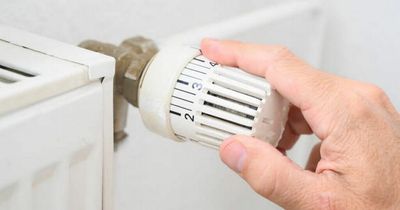 Plumber warns of major radiator mistake that could be costing you hundreds of euro
