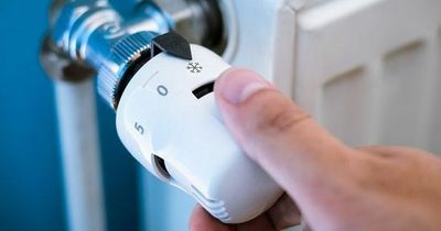 Five boiler checks every household should do before colder temperatures set in to make heating more efficient