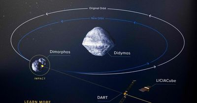 NASA will test Earth's defences by smashing spaceship into asteroid - and you can watch it LIVE