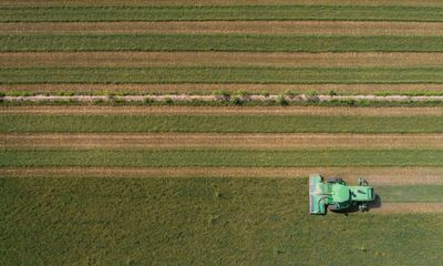 ‘Water is our most precious resource’: alfalfa farmers asked to give up crop amid megadrought in US south-west