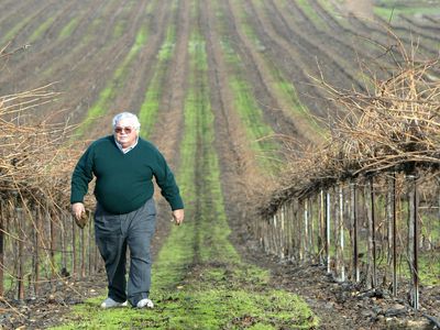 Fred Franzia, creator of 'Two Buck Chuck' and champion of affordable wine, has died