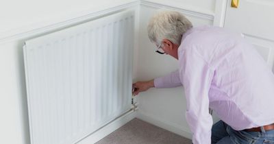 Pensioners getting DWP New Winter Fuel Payment could get extra £300 in November