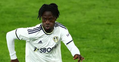 Darko Gyabi verdict as Leeds United youngster handed challenge by U21s boss Michael Skubala