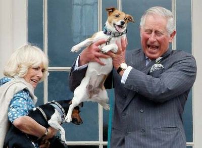 A history of royal dogs, from Queen Victoria to King Charles