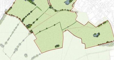 Hundreds more homes and new public space could be coming to Wirral's green belt