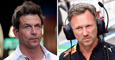 Red Bull's Christian Horner admits wanting to "inflict pain" on Mercedes rival Toto Wolff