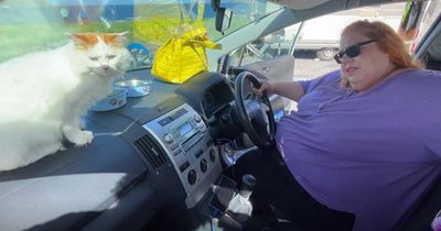 Woman forced to live in CAR with her cats on beach due to 'lack of housing'