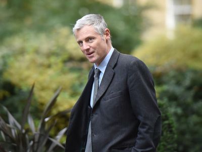 Tory peer Zac Goldsmith sacked as environment minister