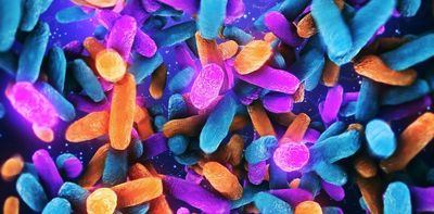 Humans evolved with their microbiomes – like genes, your gut microbes pass from one generation to the next