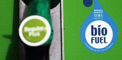 New Zealand has announced a biofuel mandate to cut transport emissions, but that could be the worst option for the climate