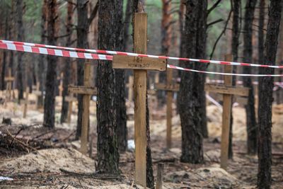 Mass grave of more than 440 bodies found in Izium, Ukraine -police