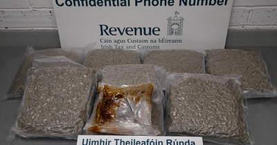 Revenue officers seize cannabis parcels labelled as 'toys' from Dublin premises