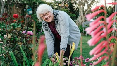 Gardeners happy to swap drought for rainy season as Toowoomba celebrates Carnival of Flowers