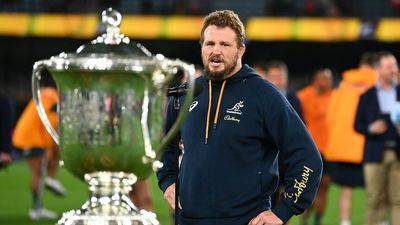 The obscure penalty rule that denied the Wallabies a Bledisloe Cup Test win over the All Blacks