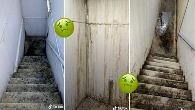 A Sydney TikToker Has Exposed A Grimy-Ass ‘Horror’ Apartment Who Rents This Out, A Bog Witch?
