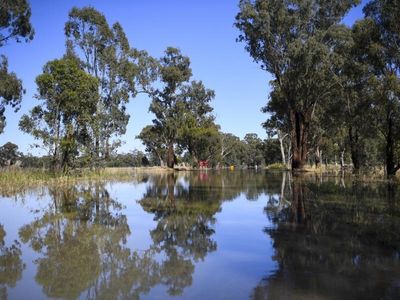 Three rescued off ute as inland NSW floods