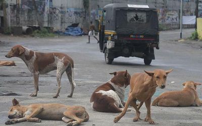 Top Kerala news developments today