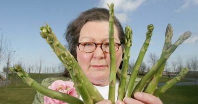 King Charles will abdicate next year according to psychic who reads asparagus