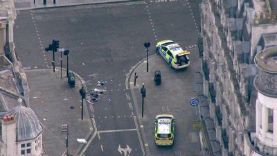 Police officers in hospital after being stabbed in central London