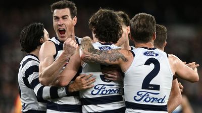 Geelong coasts into AFL grand final, thrashing Brisbane Lions by 71 points