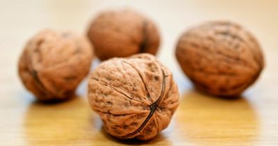 Eating walnuts may add years to your life, according to new research
