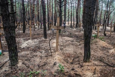 Around 200 wooden crosses seen at site near Ukraine's Izium