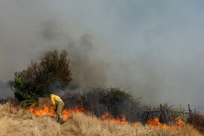 Record heatwaves drive EU's July excess deaths to 2022 high