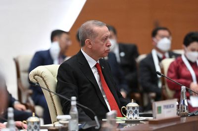 India's Modi, Turkey's Erdogan hold unexpected meeting at regional summit