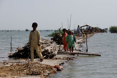 China and India among SCO states urging 'balance' in climate approach