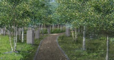 New ‘bespoke’ cemetery proposed as Dublin burial space is in short supply