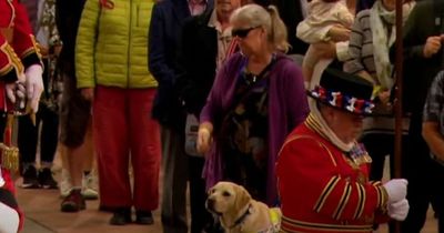 Guide dog joins mourning owner in show of respect by Queen's coffin