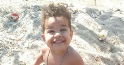 Boy, 2, killed when he's hit by brother's school bus after letting go of mum's hand