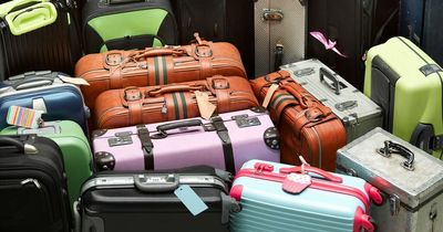 Safety expert issues tips to holidaymakers on how to avoid losing luggage
