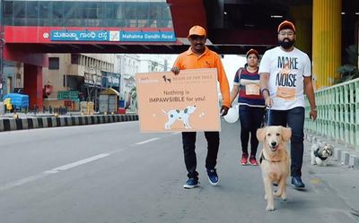At the Dogathon walk on September 18, keep pace with your furry friends to raise funds for animal welfare NGOs