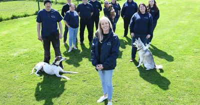 Newcastle shelter expecting to take in 1,000 pets as Geordie owners pushed to brink by rising bills
