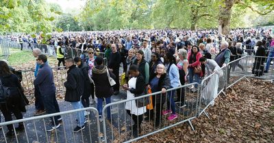 How The Queue has brought the nation together and become our newest national landmark