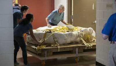 Rare Midwest dinosaur fossil ‘the Beast’ arrives at the Field Museum