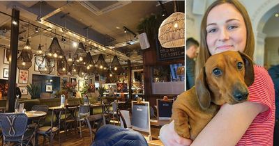 Popular restaurant to host puppy party complete with Pawsecco and ice cream