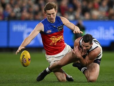 Lions to stew on sorry AFL finals exit