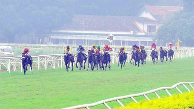 Taimur may win feature