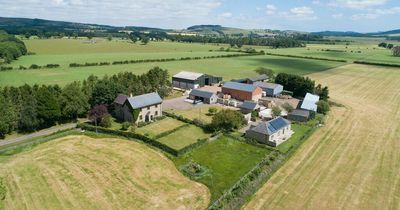 Stunning Northumberland 150 acre-farm with two cottages goes on the market for £2.95m