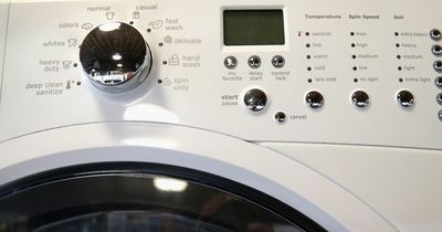 Expert outlines cheapest times to run your washing machine to keep bills down