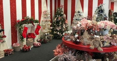 We visited the Arnotts Christmas shop and it filled us with festive excitement